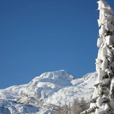 Colibri * Saas Fee